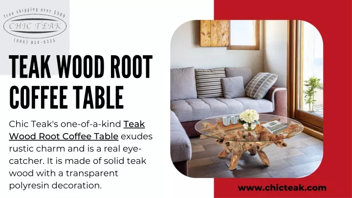 teak wood root coffee table chic teak