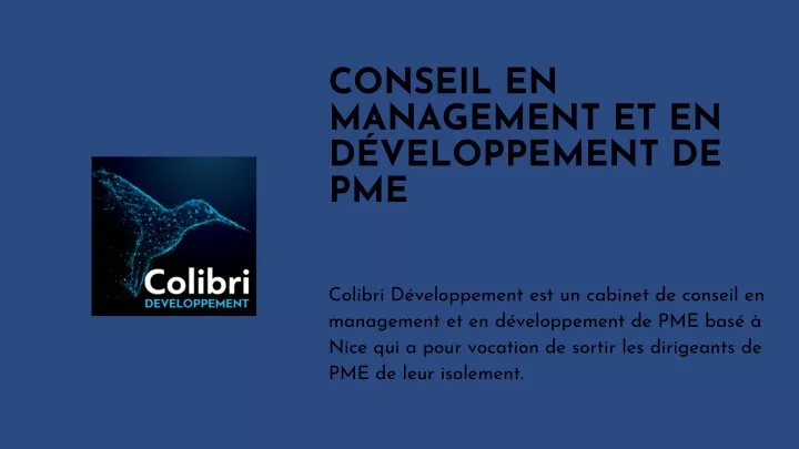 conseil en management et en d veloppement de pme