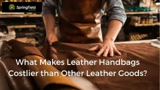 What Makes Leather Handbags Costlier than Other Leather Goods ?