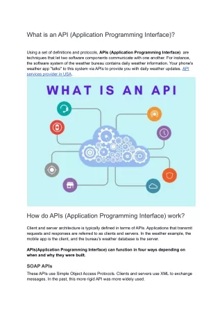 API (Application Programming Interface) services in USA