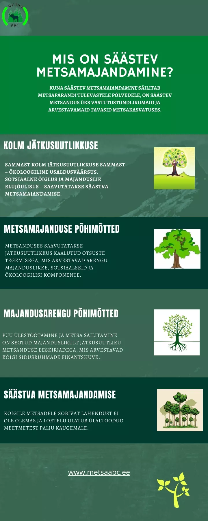 mis on s stev metsamajandamine