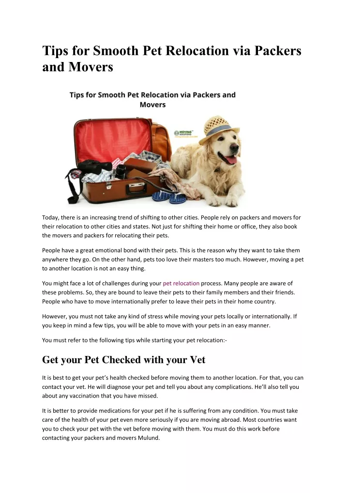 tips for smooth pet relocation via packers