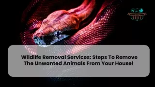 Wildlife Removal