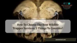 Wildlife Trapper Near Me