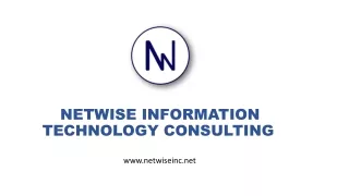 netwise information technology consulting