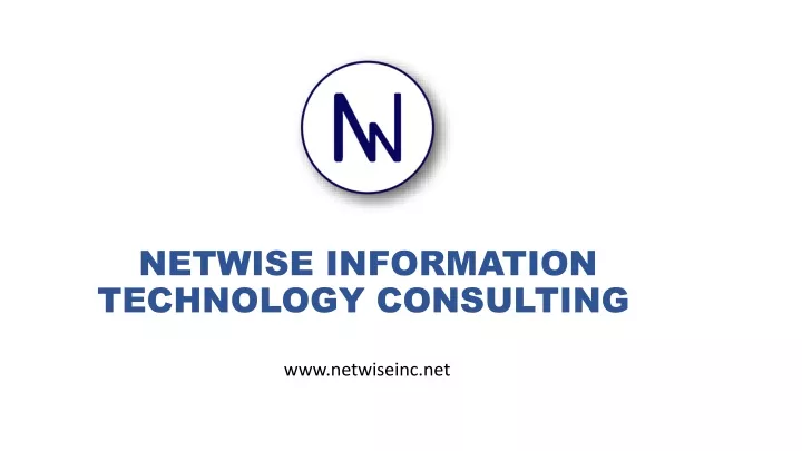 netwise information technology consulting