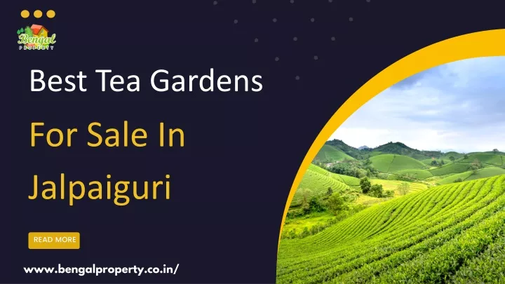 best tea gardens