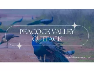 Peacock valley Cuttack- The Hidden World