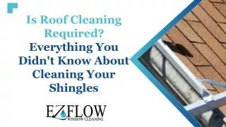 Is Roof Cleaning Required? Everything You Didn't Know About Cleaning Shingles