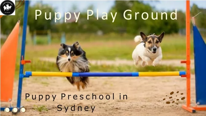 puppy play ground