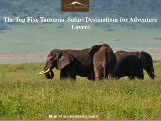 The Top Five Tanzania Safari Destinations for Adventure Lovers