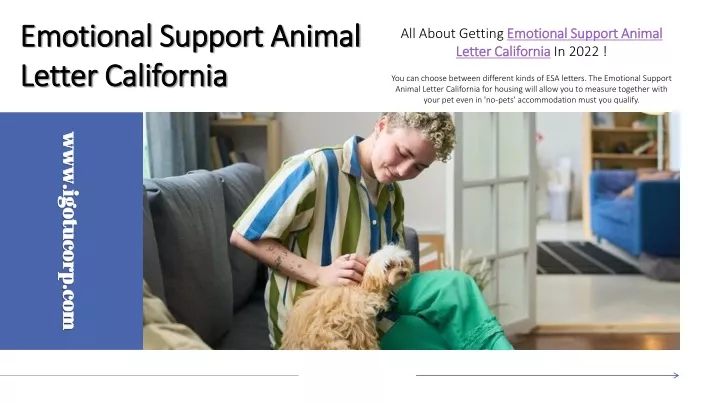 emotional support animal emotional support animal