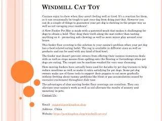 windmill cat toy