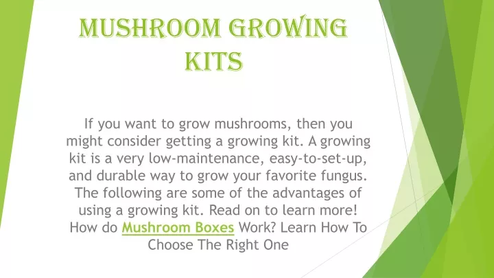 mushroom growing kits