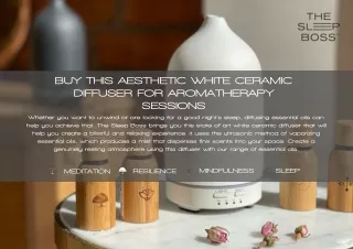 BUY THIS AESTHETIC WHITE CERAMIC DIFFUSER FOR AROMATHERAPY SESSIONS