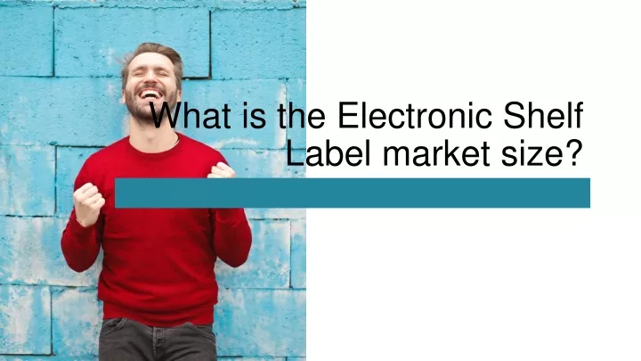 what is the electronic shelf label market size