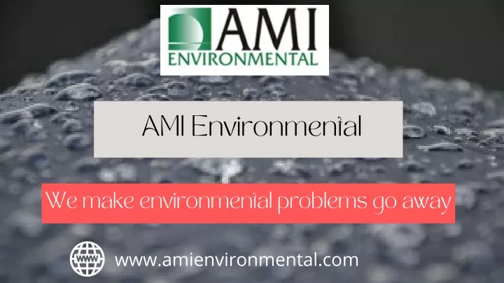 ami environmental