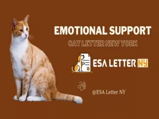 Emotional Support Cat Letter New York