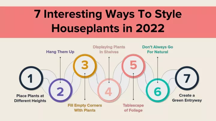 7 interesting ways to style houseplants in 2022