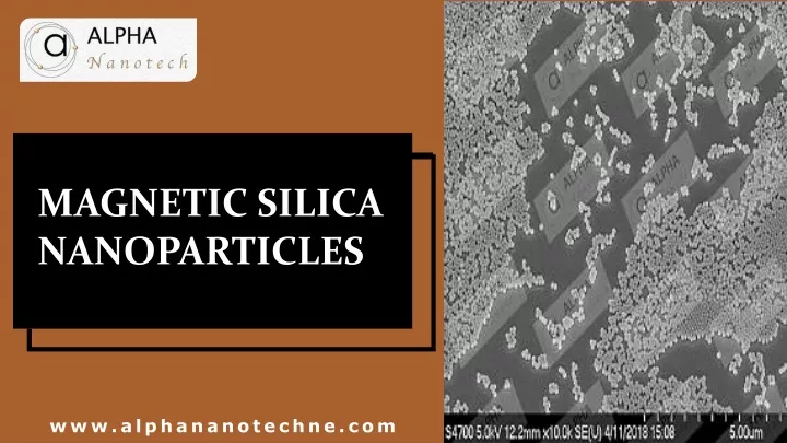 magnetic silica nanoparticles