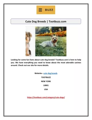 Cute Dog Breeds | Tootbuzz.com