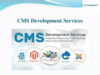 cms development services