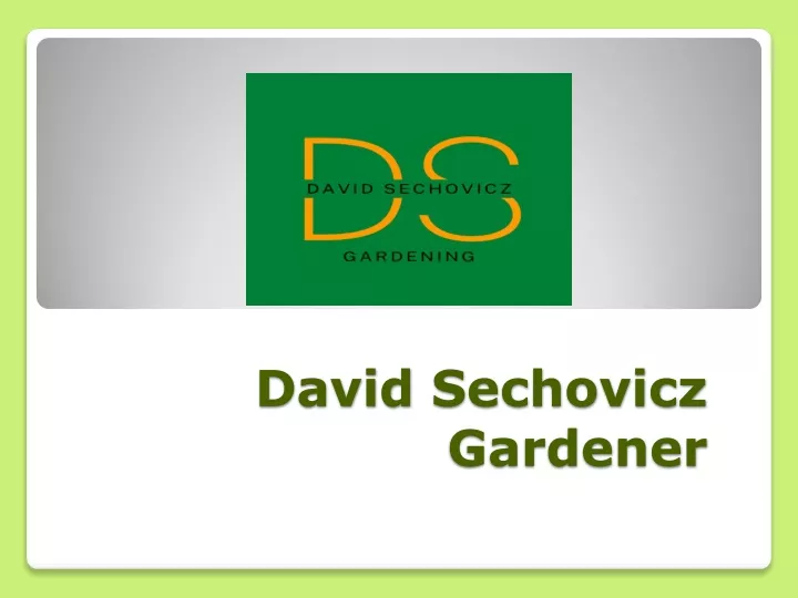david sechovicz gardener
