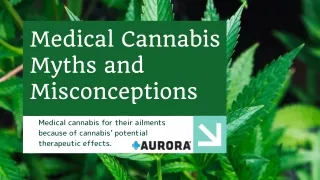 Medical Cannabis Myths and Misconceptions