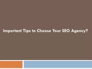 Important Tips to Choose Your SEO Agency
