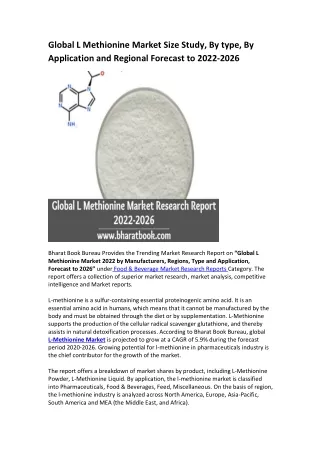 global l methionine market size study by type