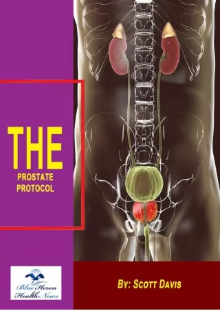 The Prostate Protocol by Scott Davis EBook PDF Download