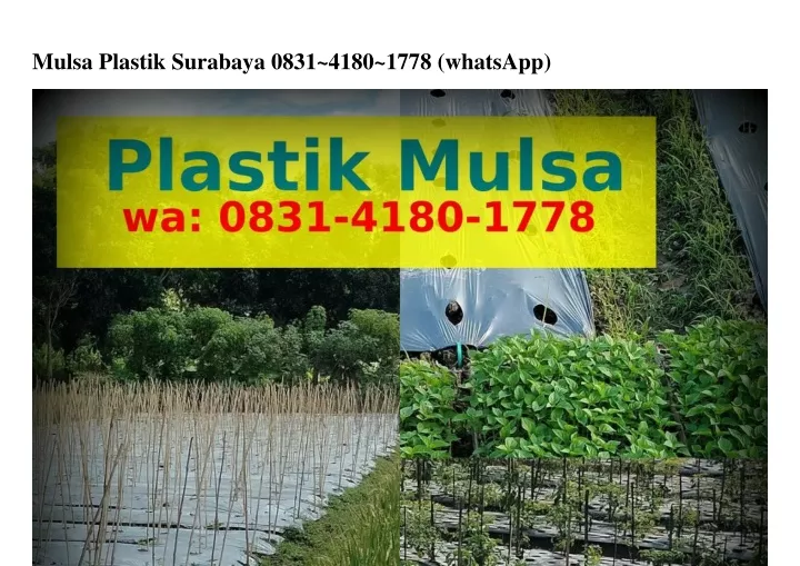 mulsa plastik surabaya 0831 4180 1778 whatsapp