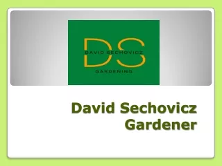 David Sechovicz Gardener