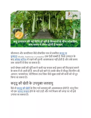 कद्दू उत्पादन की नई विधि हो रही है किसानों के बीच लोकप्रिय |