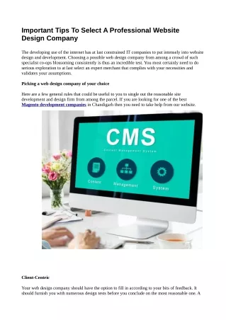 important tips to select a professional website