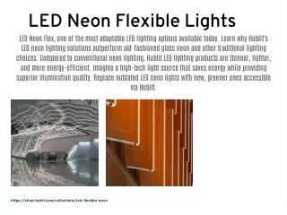 LED Neon Flexible Lights