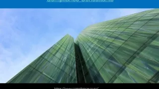 Compliance Consultants