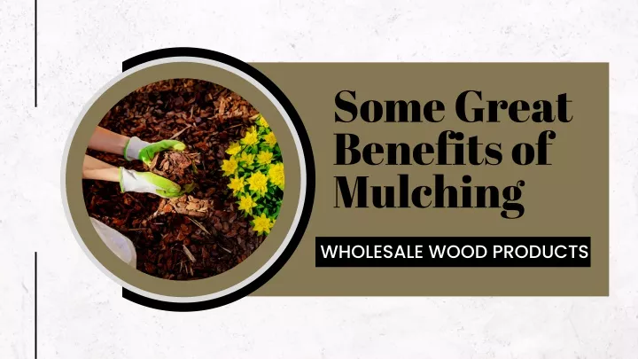 some great benefits of mulching