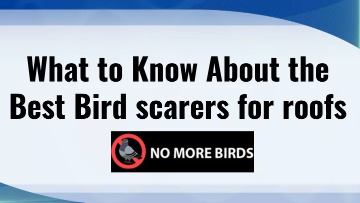 what to know about the best bird scarers for roofs