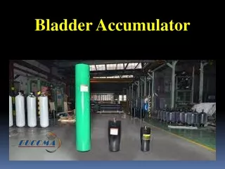 bladder accumulator