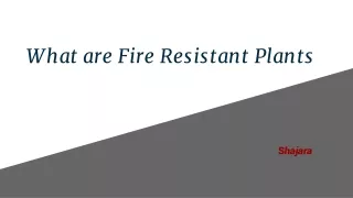 What are Fire Resistant Plants