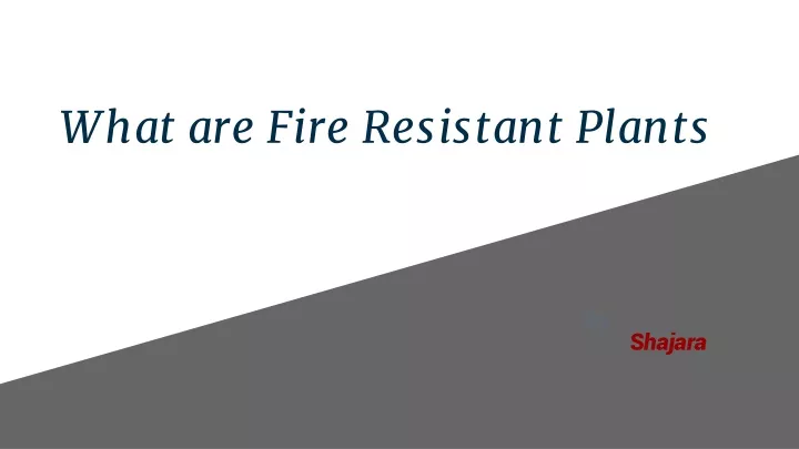 what are fire resistant plants