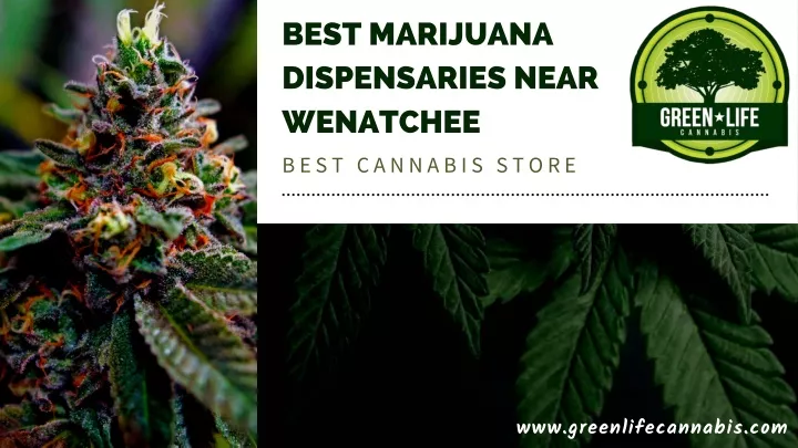 best marijuana dispensaries near wenatchee best