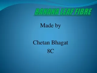 Banana Leaf Fibre