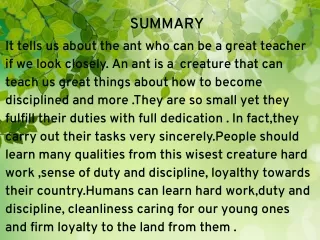 summary