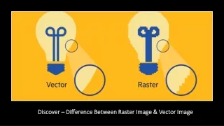 discover difference between raster image vector image