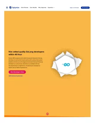 Hire vetted quality GoLang developers within 48 Hour