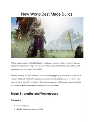 New World Best Mage Builds