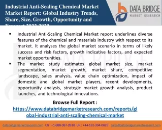 industrial anti scaling chemical market market