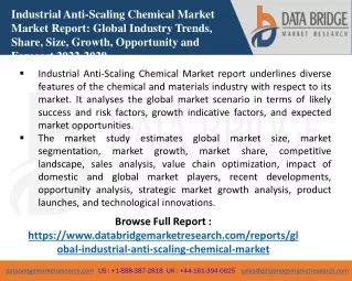industrial anti scaling chemical market market